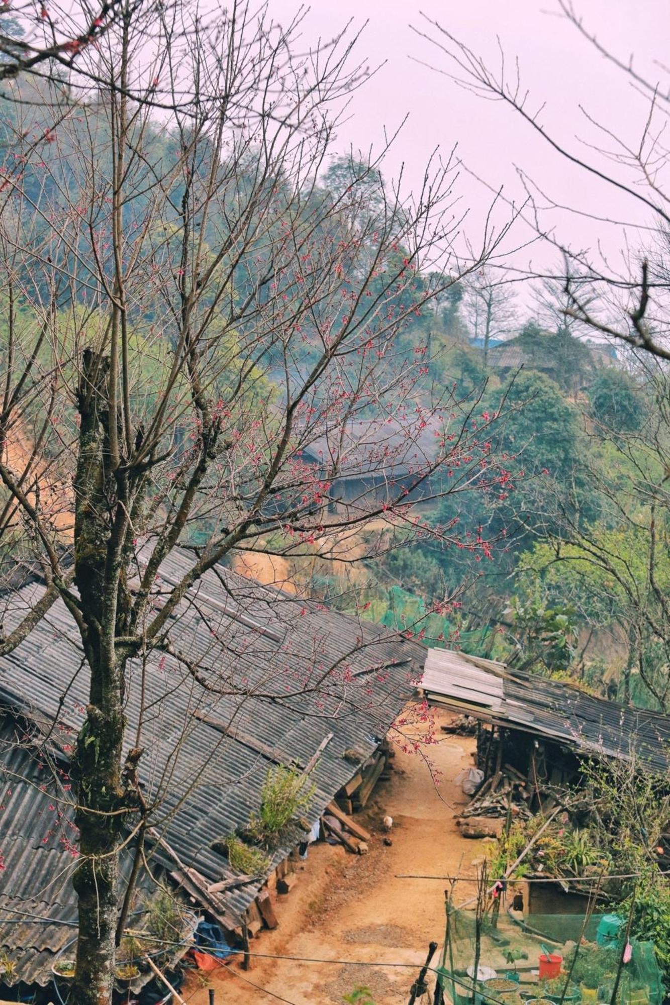 Nha Hang Homestay Pho Nui Bac Yen 外观 照片